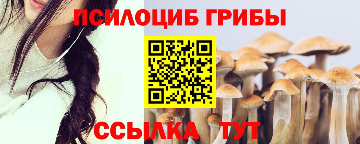 Псилоцибиновые грибы ЛСД  Вход с VPN  Коммунар  Галлюциногенные грибы мицелий 